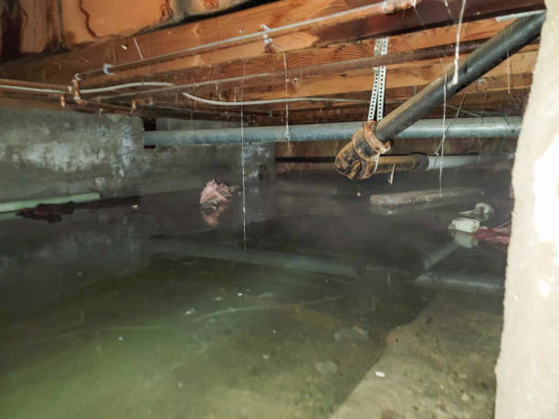 Best Basement water damage restoration  in Weatogue, CT