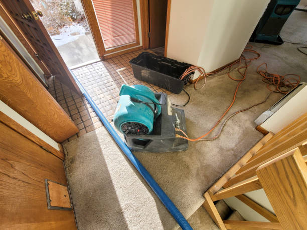 Best Fire Damage Restoration  in Weatogue, CT