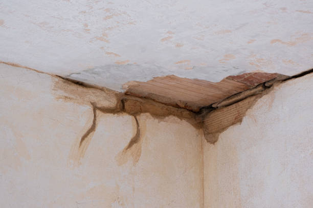  Weatogue, CT Water damage restoration Pros