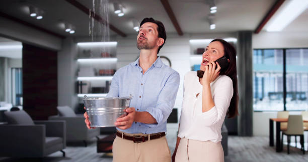 Best Residential water damage restoration  in Weatogue, CT